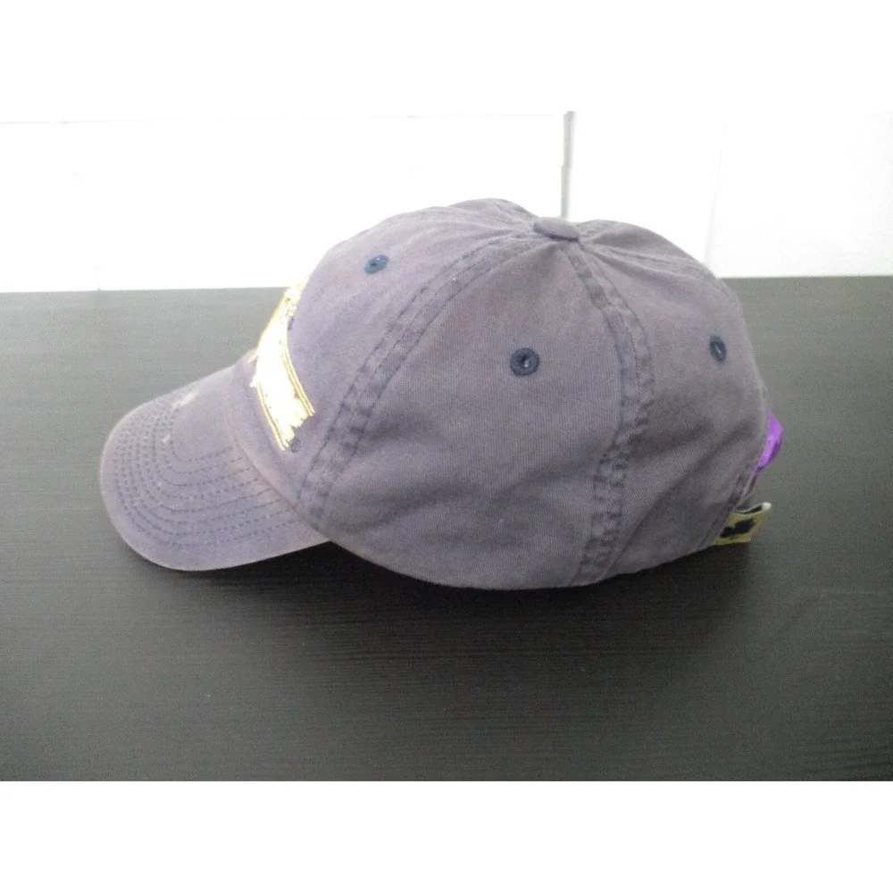 Notre Dame Fighting Irish Hat Cap Mens Strap Back Gray Top Of The World Logo